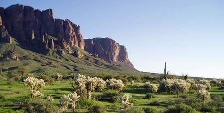 Sonoran Desert